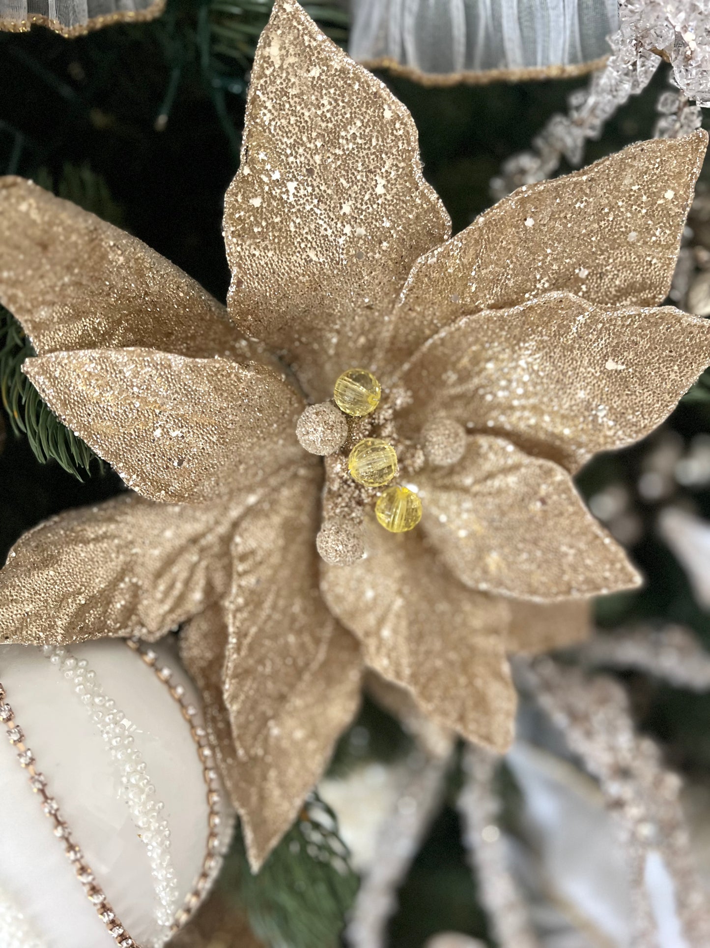 Golden Champagne Poinsettia Stem