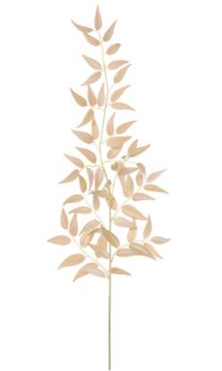 36" Velvet Italian Ruscus Spray
