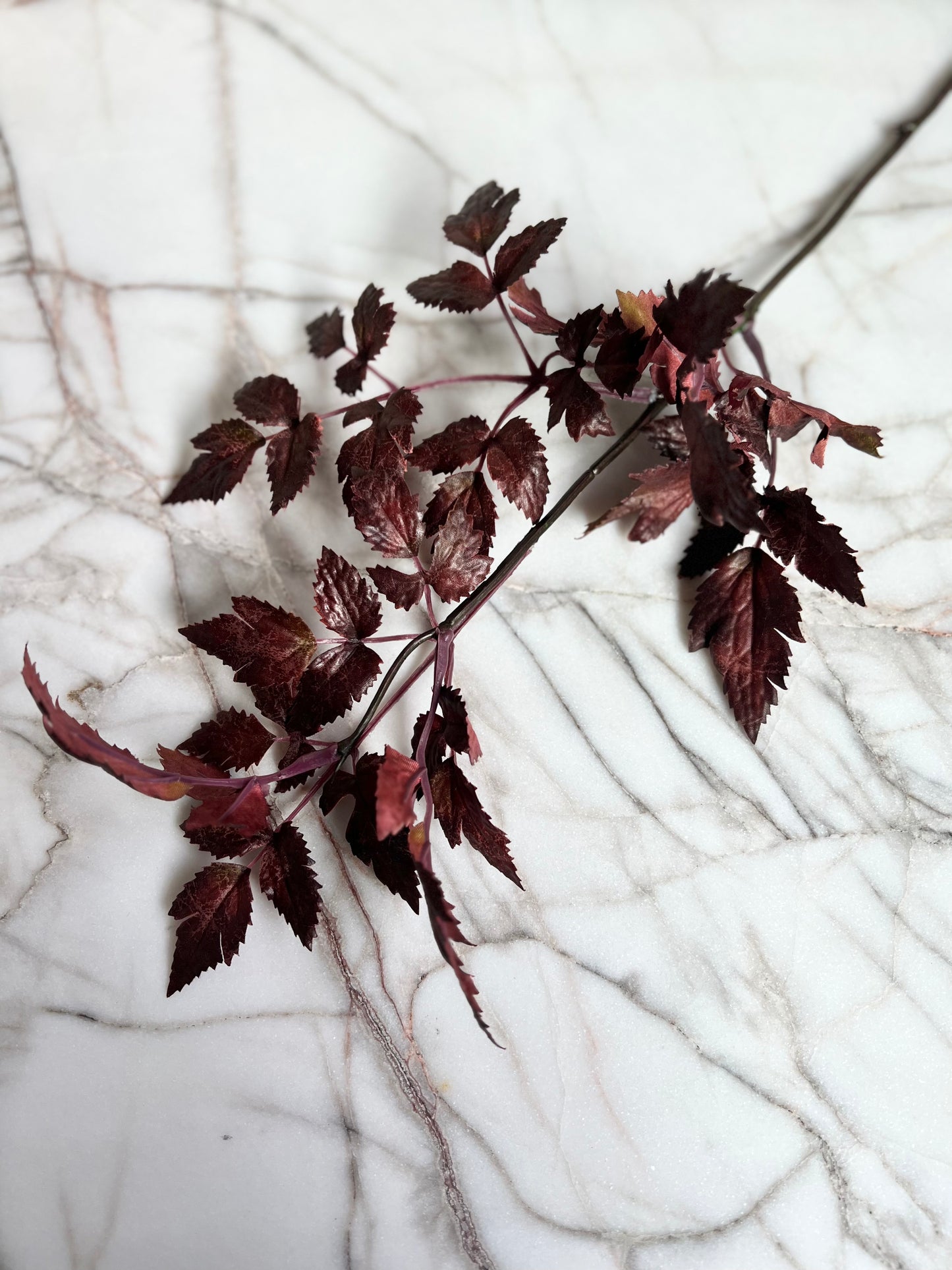Faux Plum Cimicifuga Ramosa Leaf Spray 19.5" L