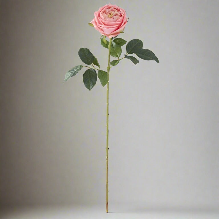 Real Touch Austin Rose Dark Pink Stem 24" Oh La La Decor Real Touch Austin Rose Dark Pink Stem 24" Oh La La Decor
