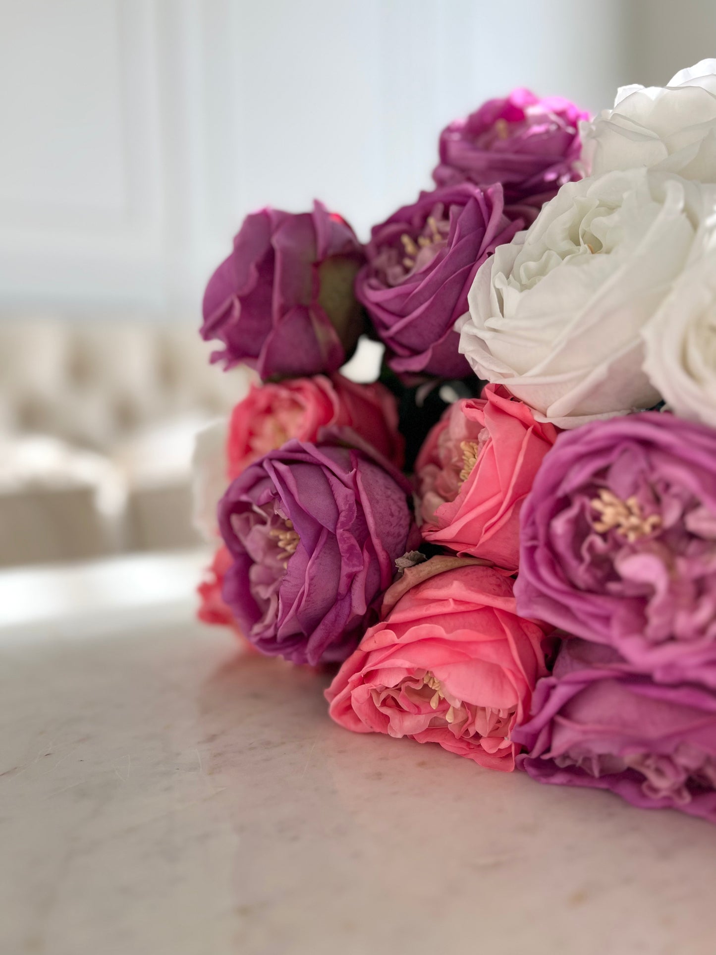 Real Touch Austin Rose White Stem 24"