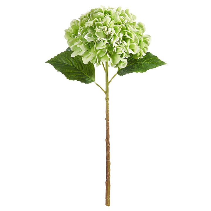 Green Real Touch Hydrangea Stem 20.5" L