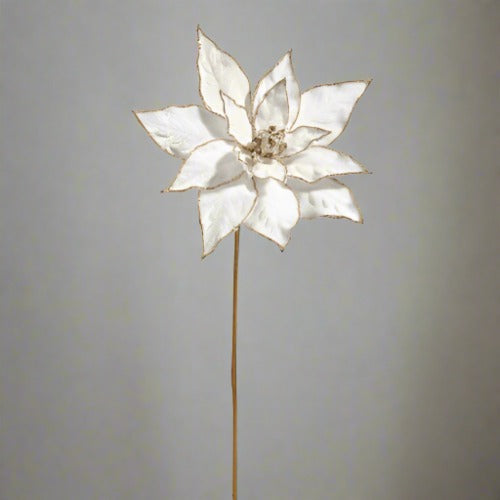 20" Gold Edge White Velvet Poinsettia Stem