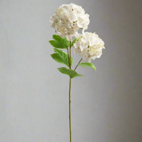 White Real Touch Hydrangea 2 Bloom Spray 19" L