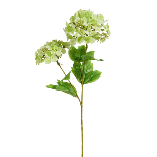Green Real Touch Hydrangea 2 Bloom Spray 19" L