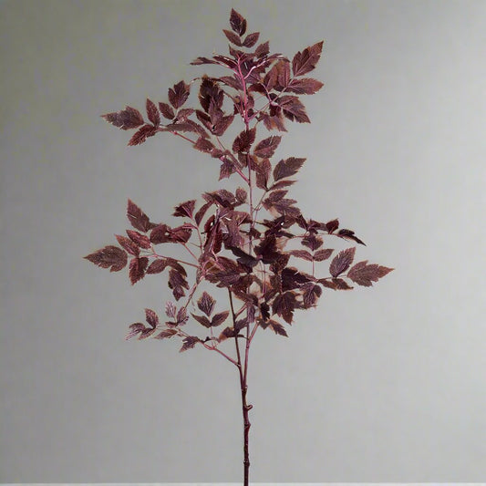 Faux Plum Cimicifuga Ramosa Leaf Spray 31" L