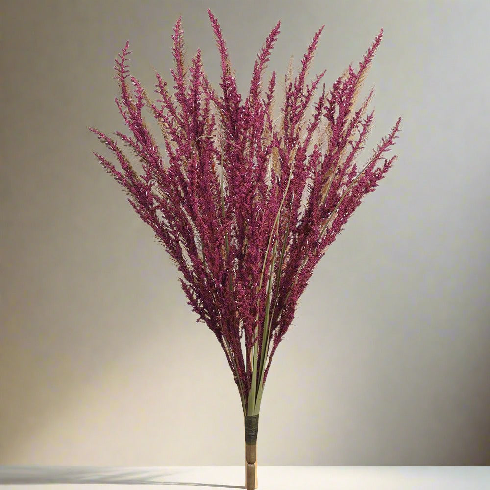 24” Burgundy Astilbe Bush