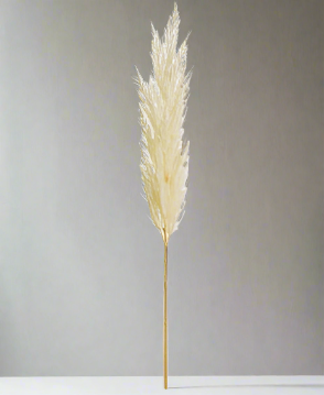 White Pampas Grass Stem 46"