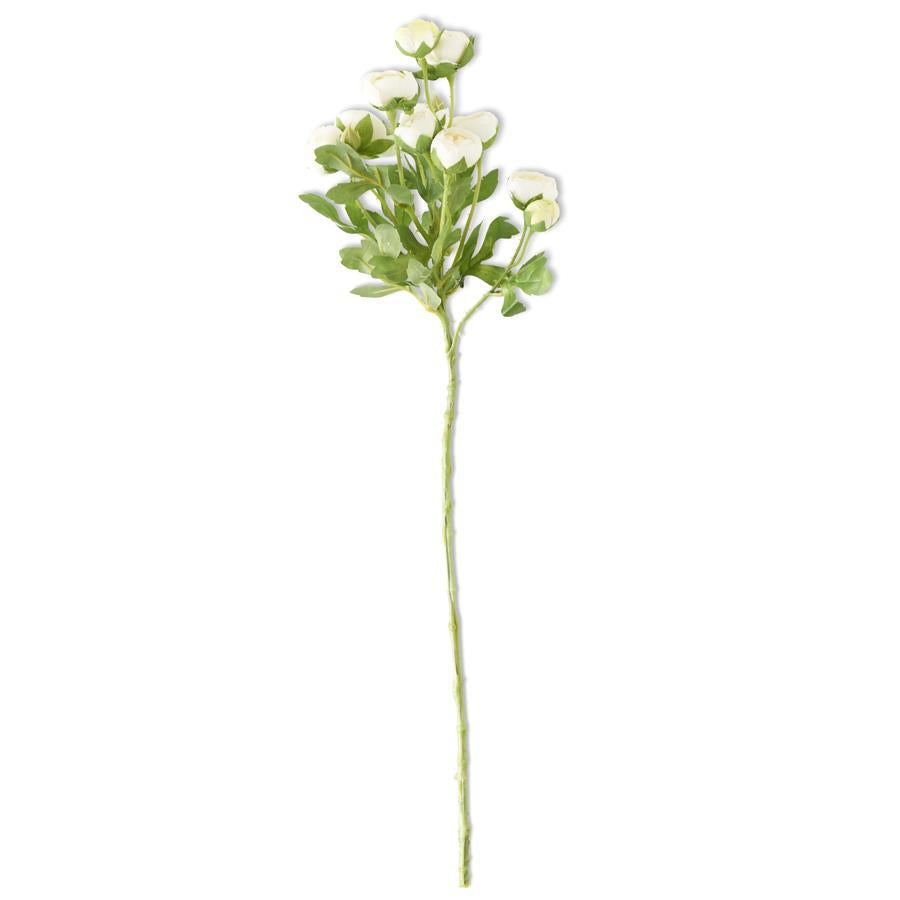 White Mini Ranunculus Spray 22"