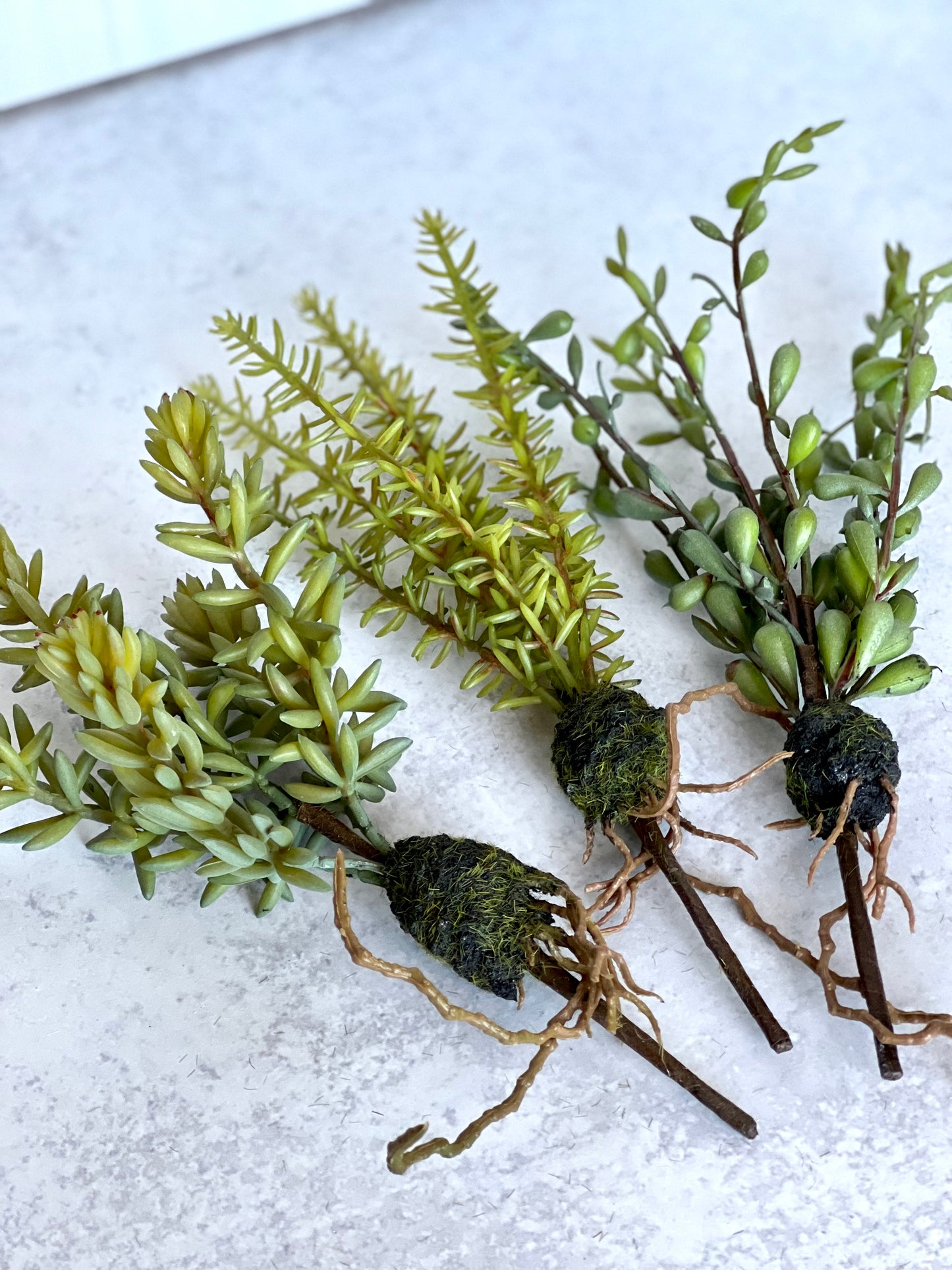 Succulent Picks (Set of 3)